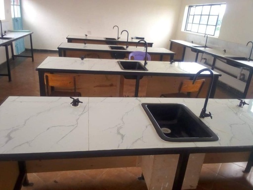 Laboratory Desk